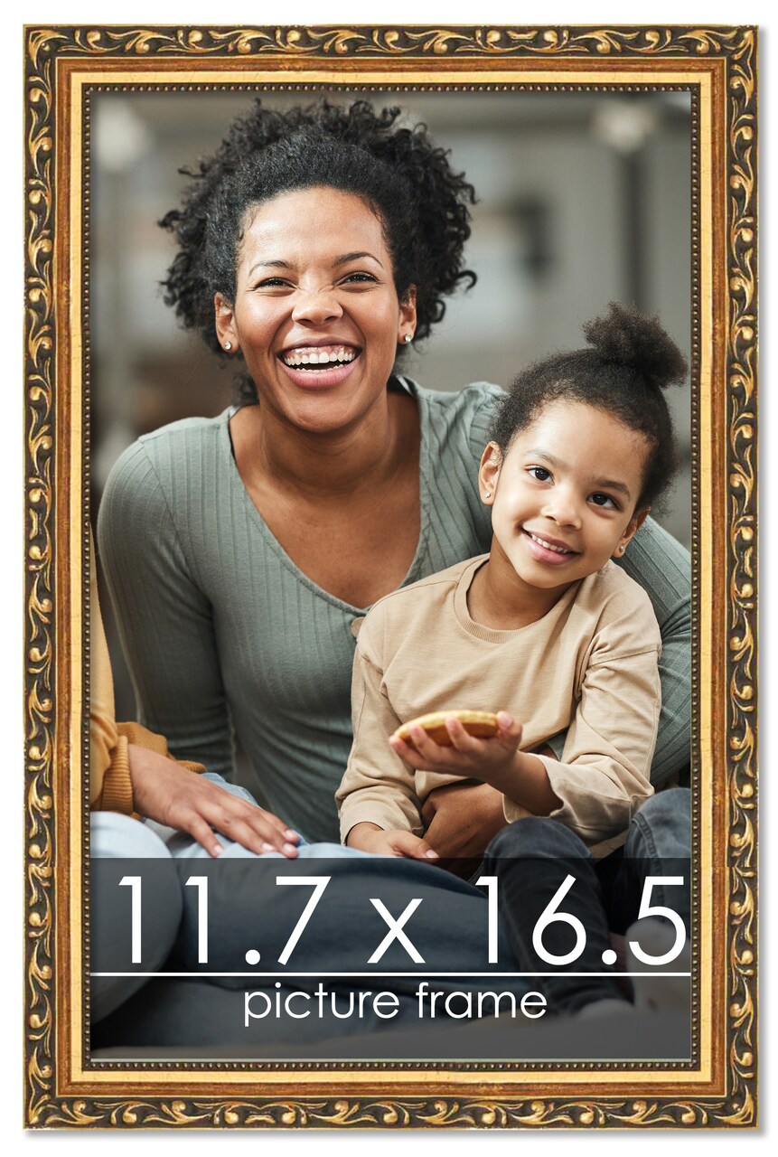 11x16.5 Museum-Quality Picture Frame, UV-Resistant Acrylic & Acid-Free Backing, Available in 4 Finishes - Gold, Silver, Bronze, and Black